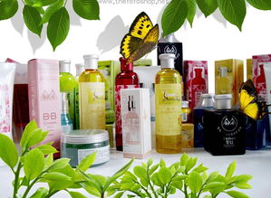 化妆品进口代理报关 流程、要点与成功之道