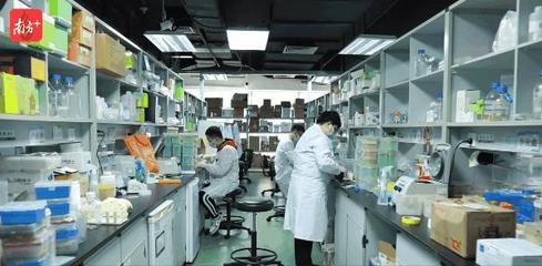 深圳创新，奔向未来 生物技术研发的领航之路