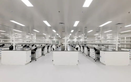 德卡实验室赋源生物研发中心顺利竣工，开启生物技术创新新篇章