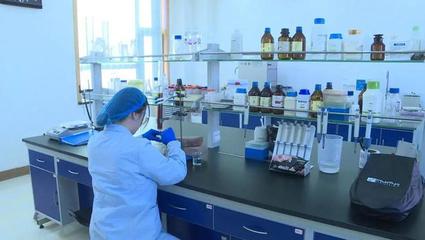 生物技术研发获省级重点支持，甘州区科技项目赋能区域发展新征程