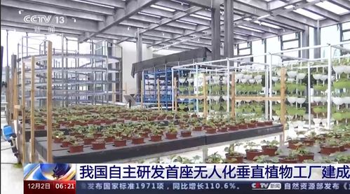 我国自主研发首座无人化垂直植物工厂建成 高楼种菜引领生物技术农业新纪元